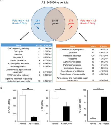 Fig 3. Transcriptome analysis of PBT exposed to AS1842856 treatment. (A) Microarray analyses of PBT from 3 individual donors cultured during 7 days in the presence of the drug (500 nM) or vehicle only were performed.