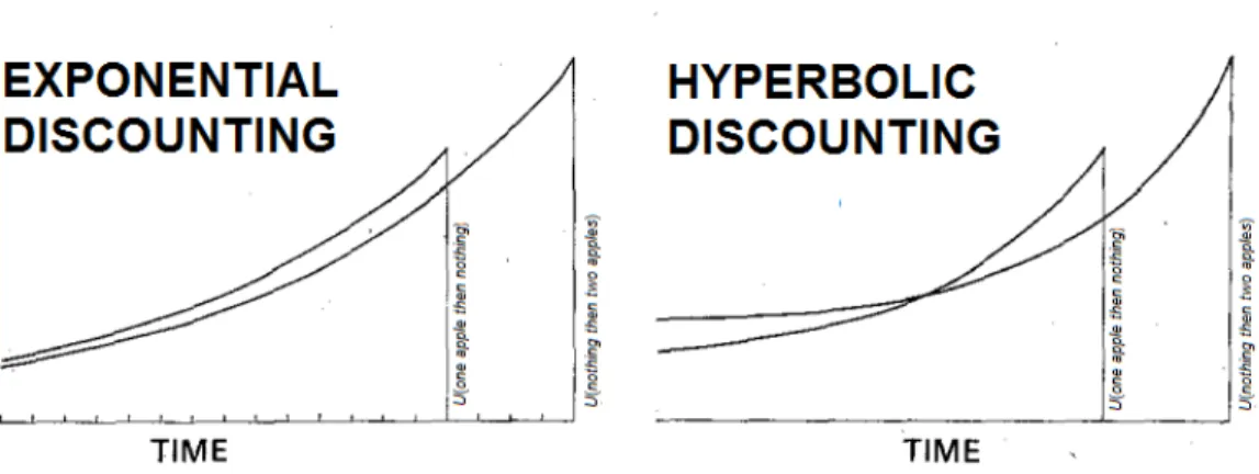 Figure 3: Exponential versus Hyperbolic Discounting and the Apple Example (modification to Ainslie 1975, fig.1)