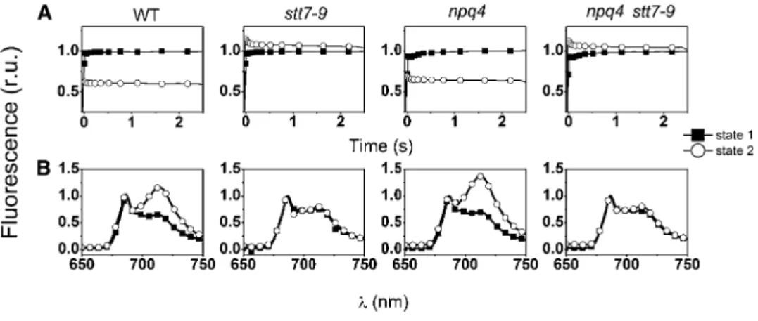 Figure 1. State Transition Phenotype of the Different Strains.