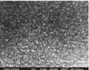Fig. 1 : Image MEB du cœur de la fibre optique préparée à partir de nanoparticules de LaF 3 :1%Tm 3+ 
