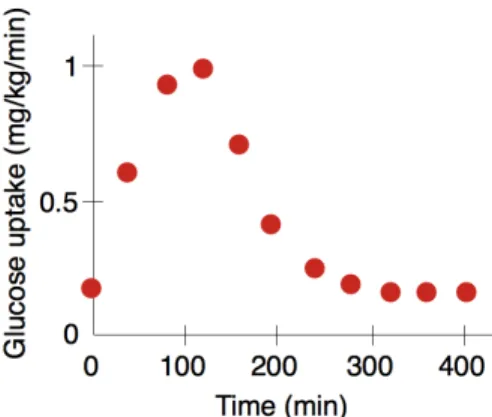 Figure 6. Plotted curve of experimentally measured sugar concentration as a function of time (adapted from Nyman et al., 2011).