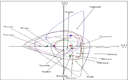 Figure 3. Analyse factorielle faite par Alceste sur les substantifs dans l’œuvre de  Flaubert 