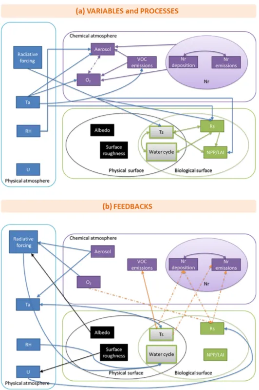 Figure 5. Interactions between the different variables and processes (a) concerned in biosphere–atmosphere exchanges as well as feed- feed-backs (b) involved between the physical and biological surfaces of an ecosystem and the physical and chemical compart