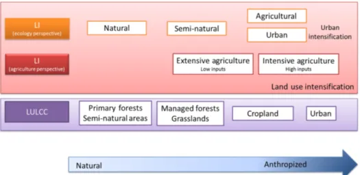Figure 3. Main changes in LULCC and LI (land use intensification) from an anthropic perspective and their classification relative to the sections of this paper.
