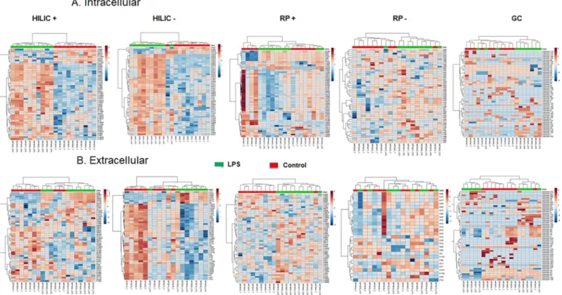 Fig 2. Hierarchical clustering analysis. The top 50 differentially expressed metabolites for the intracellular (A) and extracellular (B) HILIC, RP and GC-MS analysis of the human macrophage metabolome (n = 10) in cells cultured for 24 hrs with (green) or w