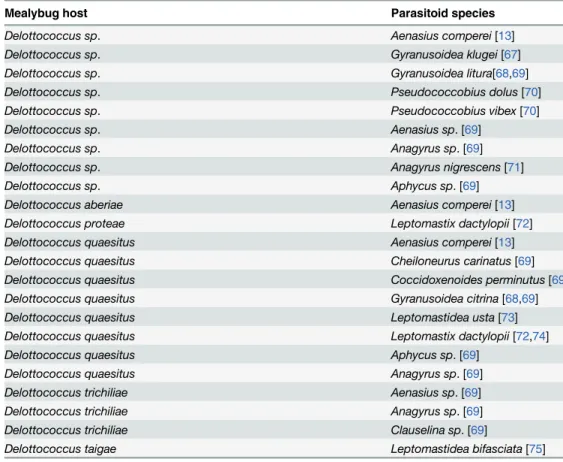 Table 4. Parasitoids of Delottococcus spp. recorded in previous works.