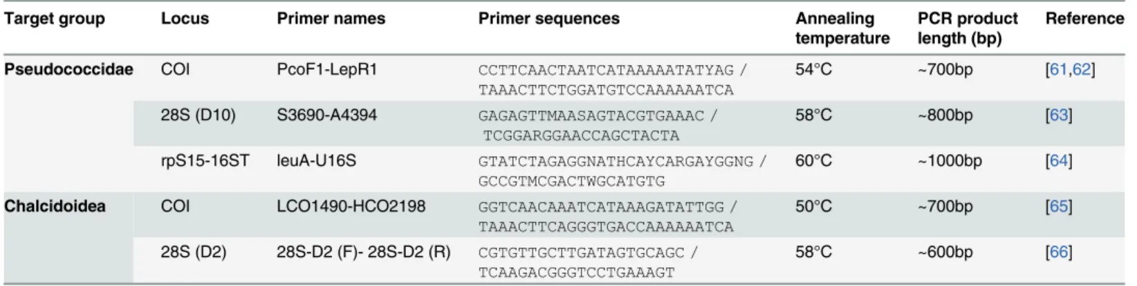 Table 2. PCR primers used in this study to amplify mealybug and parasitoid DNA.