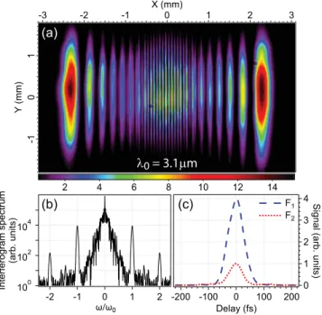 FIG. 12. Pulse measurement performed at λ 0 = 3.1 µm with a InGaAs camera.