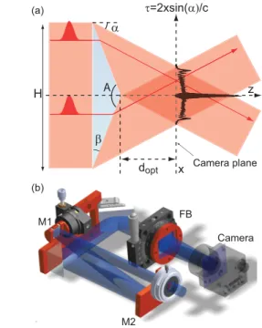 FIG. 1. (a) Principle of the autocorrelator BOAR device. The black line is a typical experimental two-photon absorption signal recorded by using the camera