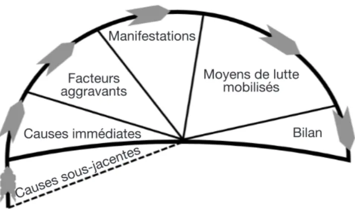 Figure  1.  Approche  «  fonctionnaliste  »  —  Functionalist  approach.