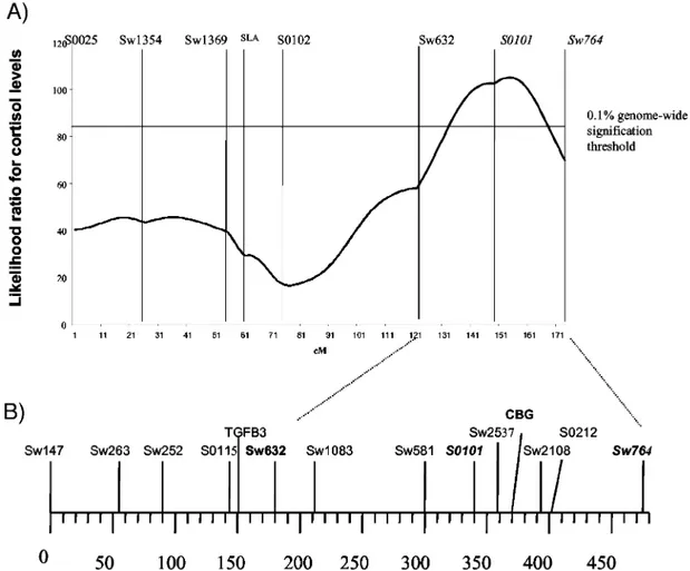 Fig. 1. Localization of Pig Cbg by Radiation Hybrids Mapping in the Cortisol Associated QTL Interval