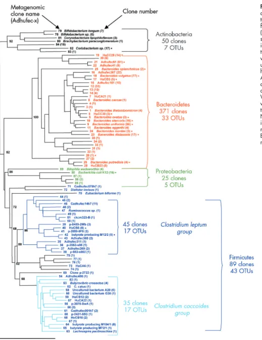 Figure 2 Phylogenetic relationships among the dominant operational taxonomic units (OTUs) identified in the faecal microbiome of healthy subjects (library based on 16S rRNA sequencing of 536 clones)