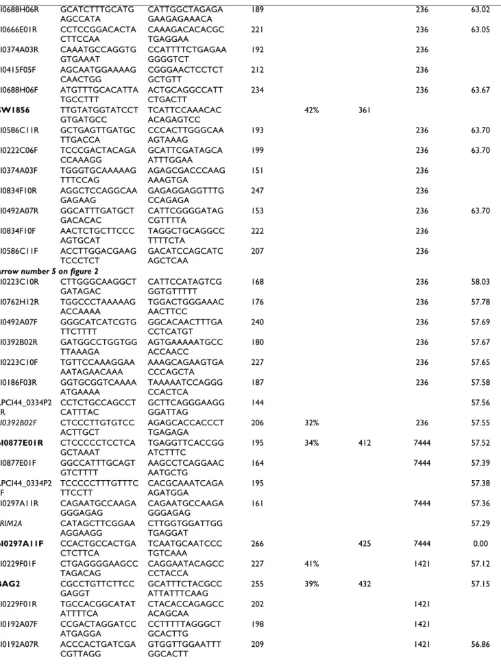 Table 1: Porcine markers developed for RH mapping and BAC contig construction (Continued)