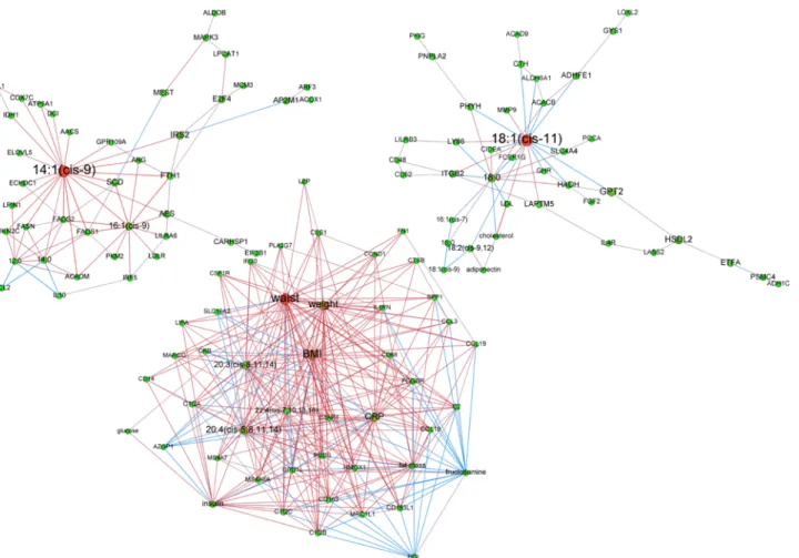 Figure 6. Adipose tissue networks during maintenance phase in women with continued weight loss