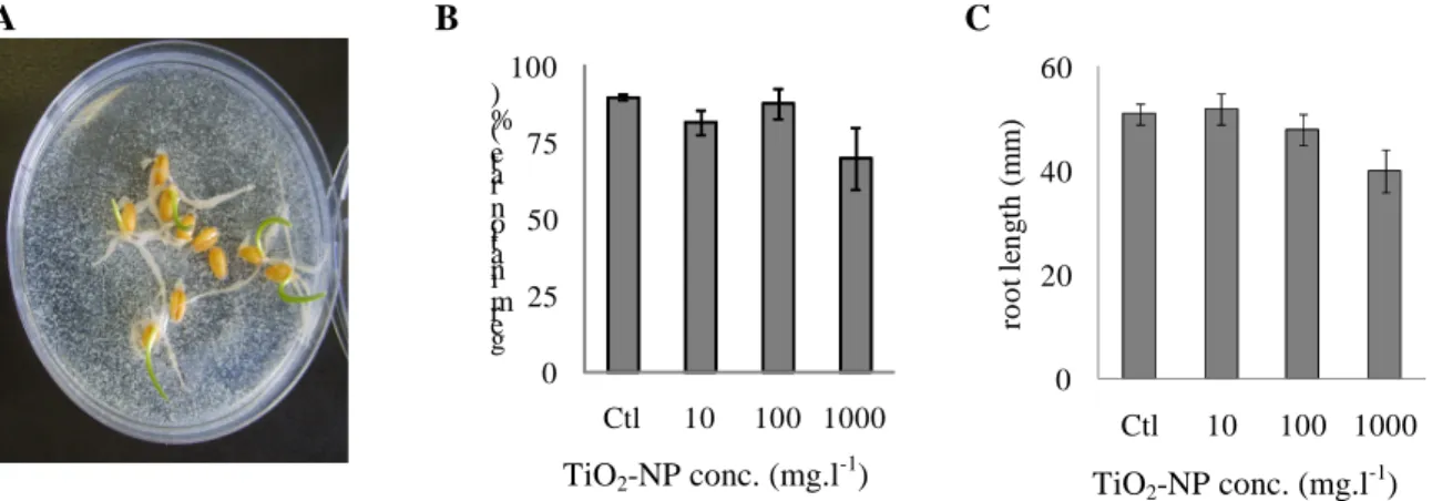 Table 2. Mean hydrodynamic diameter of NP agglomerates when using a dispersing agent a    Dispersing agent  20 mM  oxalic acid  1 g.l -1PVP  10 g.l -1PVP  1 mM  sorbitol  0.9% NaCl  Evian water  After sonication  1536  46  245  41  1000  1668  Hoagland  12