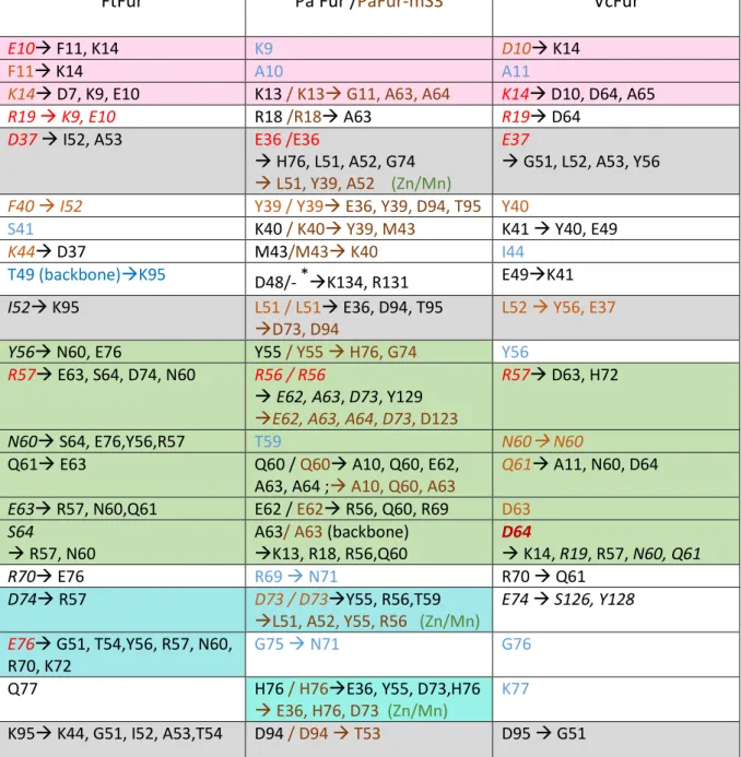 Table 2: Summary of the interactions between Fur dimers. Colored residues are those found  important in windows 16-20: red for major interactions, yellow for medium interaction and blue  for minor interactions not described as one of the 15 most important 