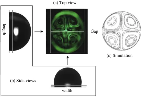 Fig. 6. Quadripolar flow as observed and simulated for a sessile drop (diameter = 1 mm) under oscillating EWOD (400 Hz)