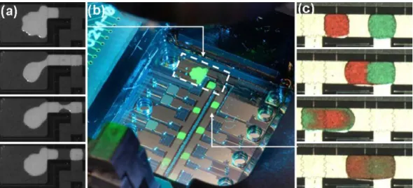 Fig. 1. Assembly of pictures illustrating basic operations on EWOD chip devoted to biological protocols: (a) drop on demand from a liquid tank with a CV < 3%