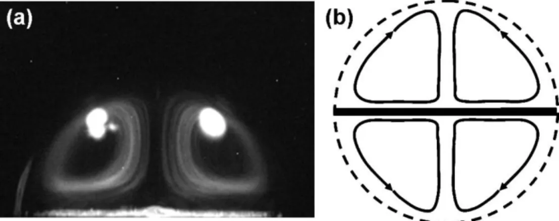 Fig. 6. (a) Side view of the droplet, at an input frequency f = 150 Hz; (b) diagram of the streamlines, the horizontal black line represents the electrode gap.