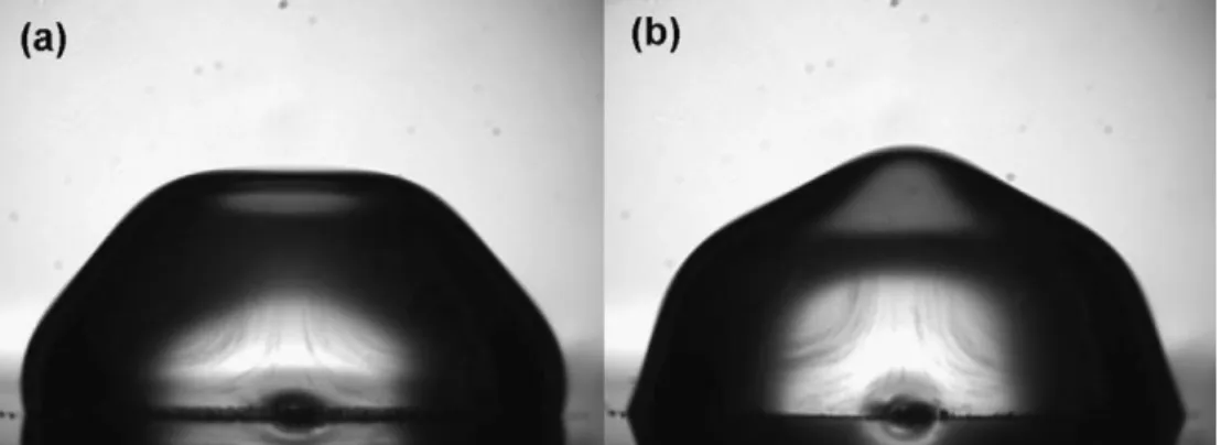 Fig. 9. Droplet image of a droplet actuated with 150 Hz frequency visualized under stroboscopic lighting before the agglomeration of the beads with both the flow patterns and the oscillating shape: (a) phase lag is 0 ◦ ; (b) phase lag is 90 ◦ .