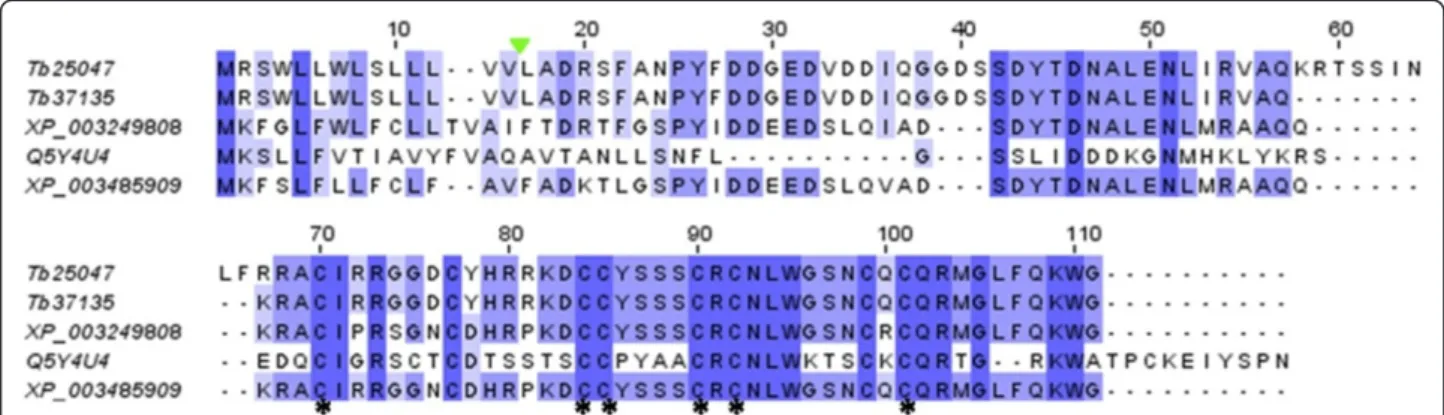 Table S1). All these predicted toxin-like showed consistent similarities and homology with hymenopteran venom  se-quences mainly from ant species that have been submitted to public databases in the frame of whole genome  sequen-cing