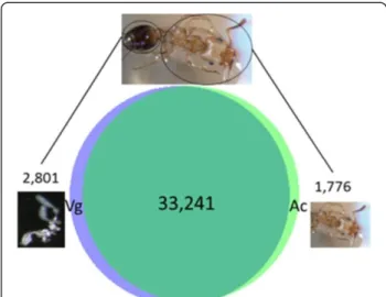 Table S1). As can be seen in Figure 3, venom allergens 3 and 5 have been found among the main ‘over-expressed’