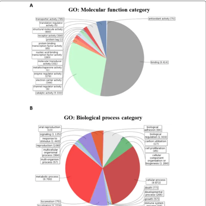 Figure 2 Gene ontology (GO) functional categorization of the generated sequences from T