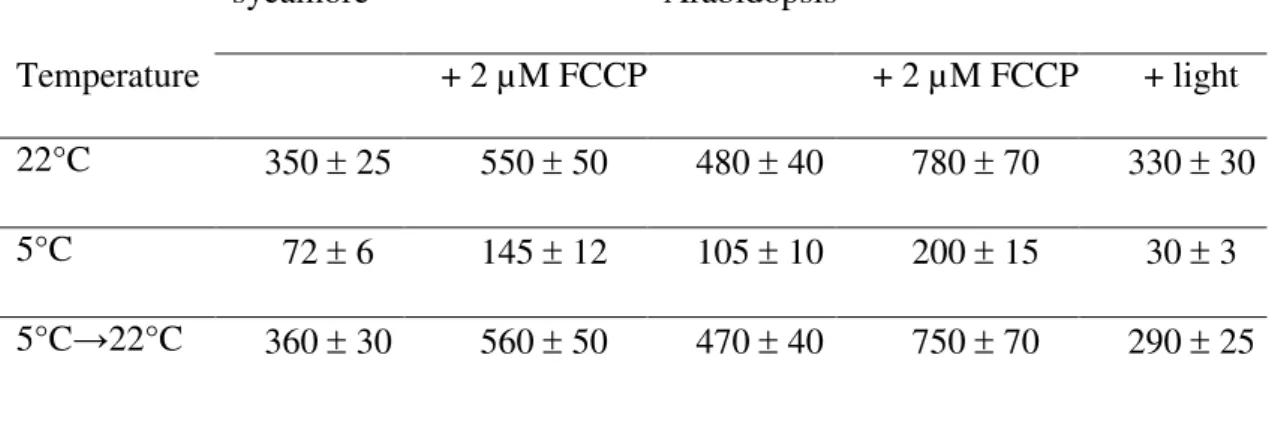 Table 1. O 2 -uptake by sycamore and Arabidopsis cells incubated at different  temperatures  sycamore  Arabidopsis   Temperature  + 2 µM FCCP + 2 µM FCCP + light  22°C  350  ±  25  550  ±  50  480  ±  40  780  ±  70  330  ±  30  5°C  72  ±  6  145  ±  12  