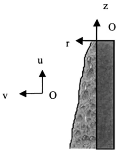 Fig. 4. Flow characteristics on the wall.