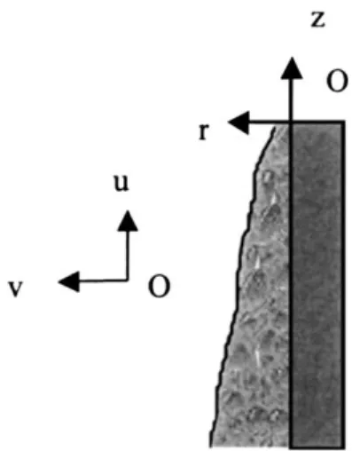 Fig. 4. Flow characteristics on the wall.