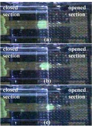 Fig. 7. Droplets are dispensed from an on-chip reservoir onto 1600 ␮ m wide electrodes.