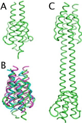 Figure 4. (A) Ribbon diagram of the Af1503 HAMP domain, expanded by the 7 terminal amino-acids,  after  8  ns   of  molecular   dynamics