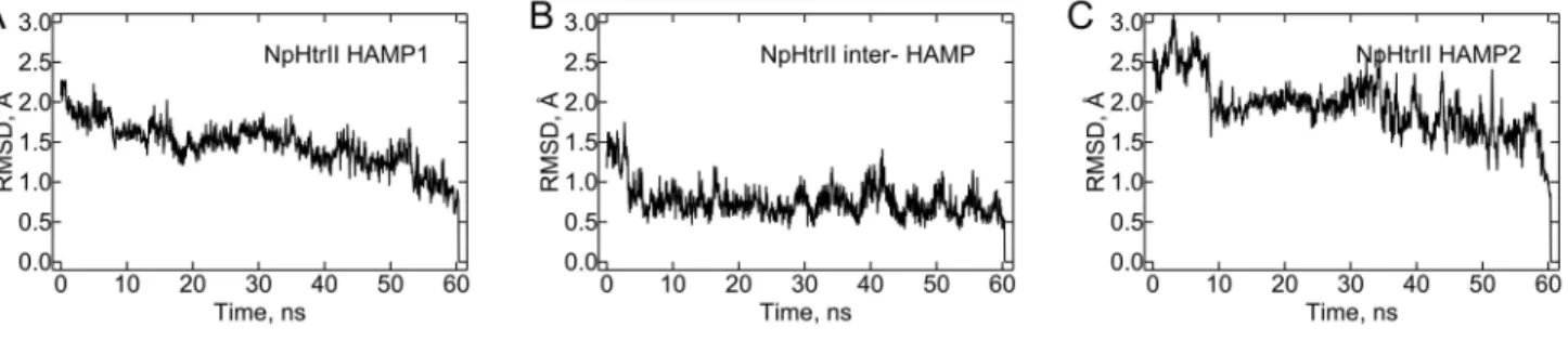 Figure   5.   Root   mean   square   deviations   for   different   parts   of   the   NpHtrII   HAMP   domain   region,  simulated as a whole