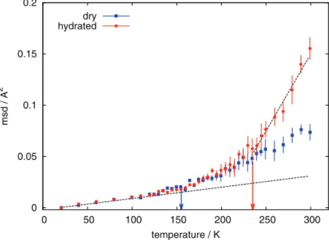 Fig. 6. – Mean squared displacements of the amino acid mixture in a D 2 O-hydrated (red circles) and a dry (blue squares) state, measured on the backscattering spectrometer IN13 (8 μeV  res-olution, ILL, Grenoble)