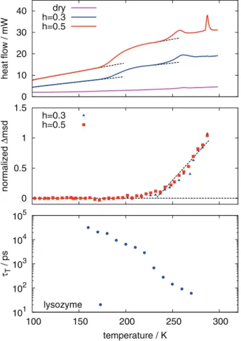 Fig. 7. – Experimental data obtained on D 2 O-hydrated protein powders. From top to bottom: