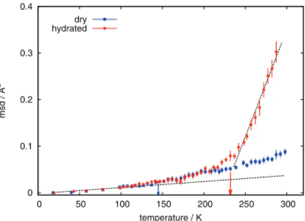 Fig. 1. – Mean squared displacements of myoglobin in a D 2 O-hydrated (red circles) and a dry (blue squares) state, measured by elastic neutron scattering on the backscattering spectrometer IN13 (8 μeV resolution, ILL, Grenoble)