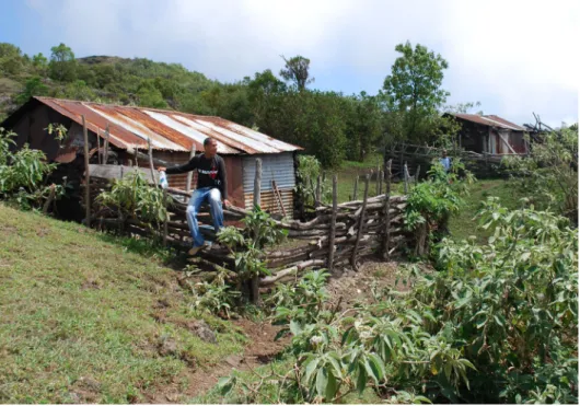 Figure 2 - Weak housing: Farmers have to live on the higher slopes of  the   volcano   in   order   to  access  pastures  due  to  local  land  use                                pressures