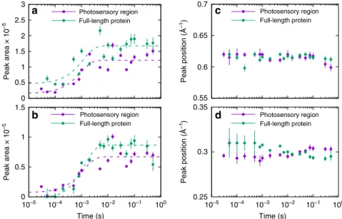 Fig. 5 Time evolution of WAXS features. Time evolution of the peak intensity at ~0.62 Å −1 (a) and ~0.3 Å −1 (b) for the photosensory region and full-length Cph1 protein