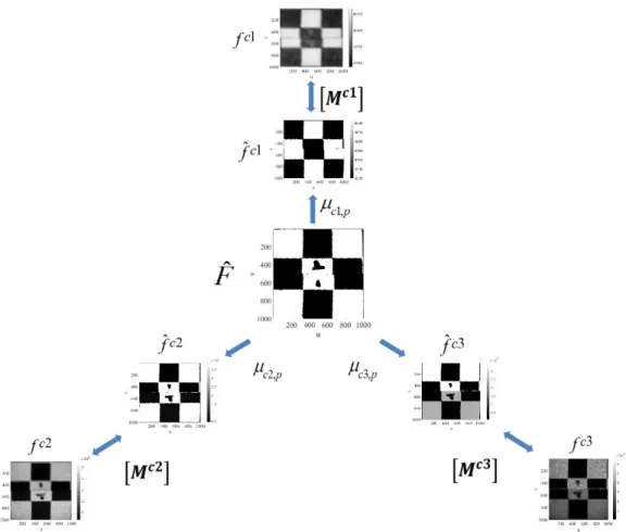 Fig. 6 Determination of the projection matrices via global multiview correlation based on the unique reference 