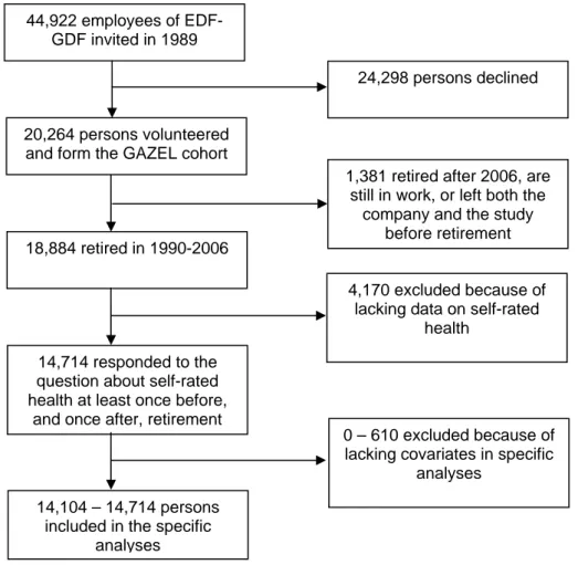 Fig. 1. – Flowchart describing the selection of participants in the study. 