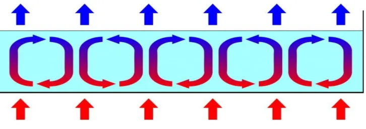 Figure 4 : Cellules de Bénard 1