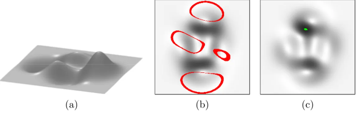 Figure 4: (b-c) A pair of 256 × 256 synthetic images (stored in 32 bits) of the smooth surface (a), such that all the points are twice-lit, over which Ω R (in red) and Ω G (in green) are superimposed.