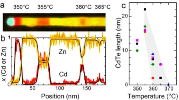 FIG. 2. Sample T: (a) EDX map (cyan: Au; yellow: Zn; red: