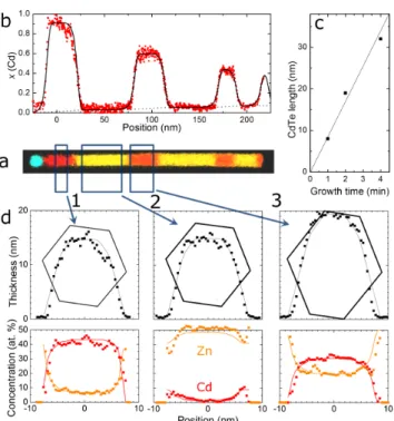 FIG. 3. Sample R: (a) EDX map (cyan: Au; yellow: Zn; red: