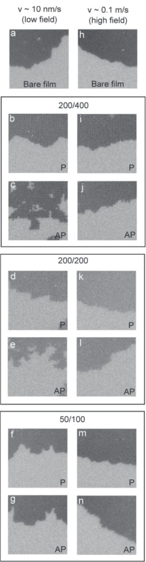 FIG. 4. Stabilized domains in the continuous ferromagnetic layer outside (a,h) and beneath the 200/400 (b,c,i,j), 200/200 (d,e,k,l), and 50/100 (f,g,m,n) arrays following wall propagation under fields parallel (P) or  anti-parallel (AP) to the magnetizatio