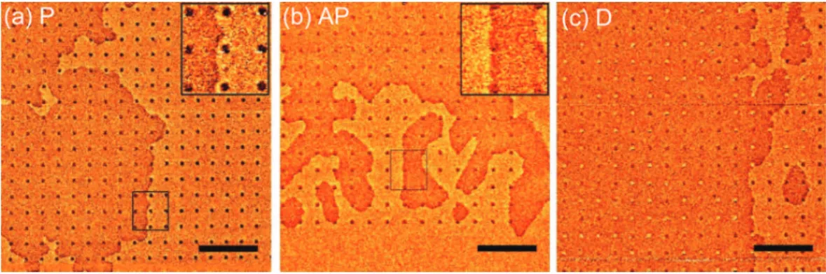 FIG. 5. MFM images of the 200/1000 array for driving fields (a) parallel, P (H "), or (b) antiparallel, AP (H #), to the nanoplatelet magnetization (M array "), and in the (c) demagnetized D state (M array ¼ 0, H ") where there are both " a