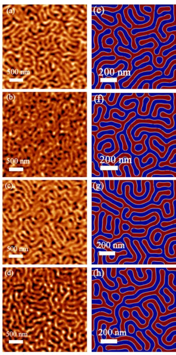 Figure 2. Magnetic force micrographs of our L1 0 Fe (1− x ) Pd x samples ((a) S = 0 . 39, (b) S = 0 