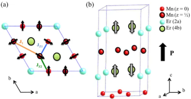 FIG. 1: Schematic illustration of ErMnO 3 crystallographic and magnetic structure in the temperature range T N′ < T <