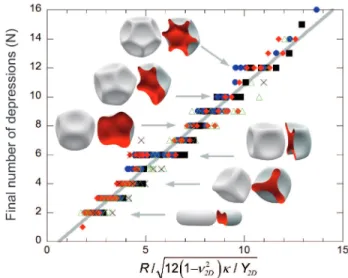 FIG. 2. Surface Evolver simulations: variation of N with the reduced radius R/d eq .  : ν 2 D = 0 to 0.25 ; • : ν 2 D = 0.3