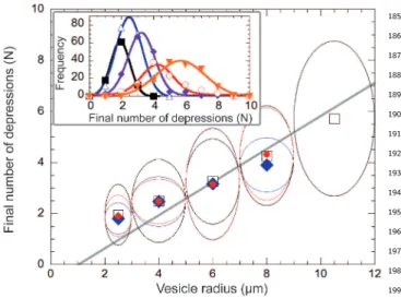 FIG. 3. Experimental value of N as a function of the GUV ra- ra-dius. The insert shows the occurrence of N for several ranges of radii (  : 2-3µm; △ : 3-5µm;  : 5-7µm;  : 7-9µm; H : 9-12µm), for v r = 0.6; solid lines are Gaussian fits